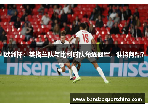 欧洲杯：英格兰队与比利时队角逐冠军，谁将问鼎？